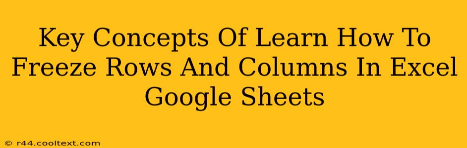 Key Concepts Of Learn How To Freeze Rows And Columns In Excel Google Sheets