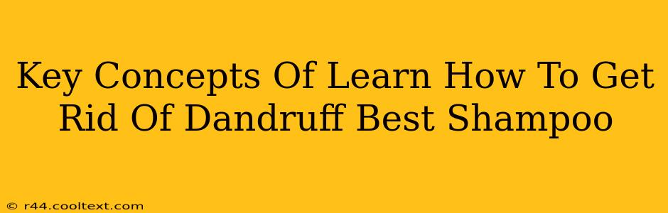 Key Concepts Of Learn How To Get Rid Of Dandruff Best Shampoo