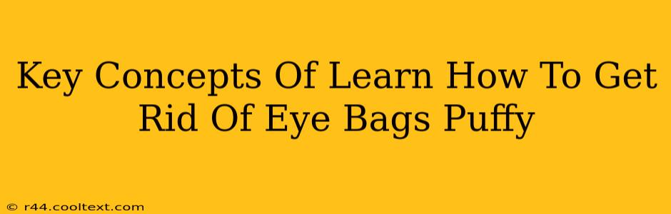 Key Concepts Of Learn How To Get Rid Of Eye Bags Puffy