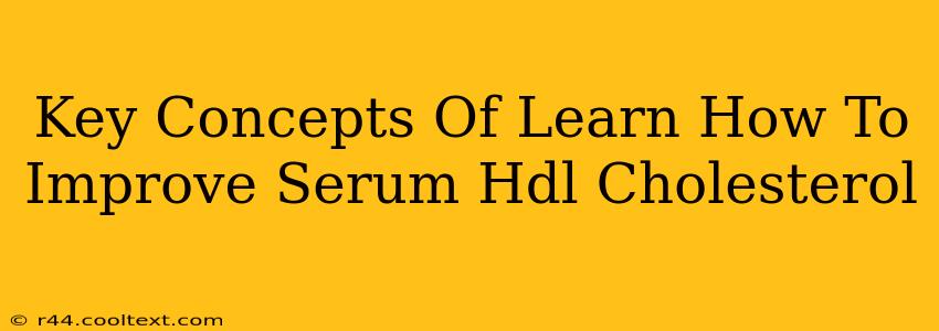 Key Concepts Of Learn How To Improve Serum Hdl Cholesterol