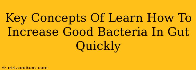 Key Concepts Of Learn How To Increase Good Bacteria In Gut Quickly