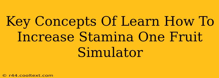 Key Concepts Of Learn How To Increase Stamina One Fruit Simulator