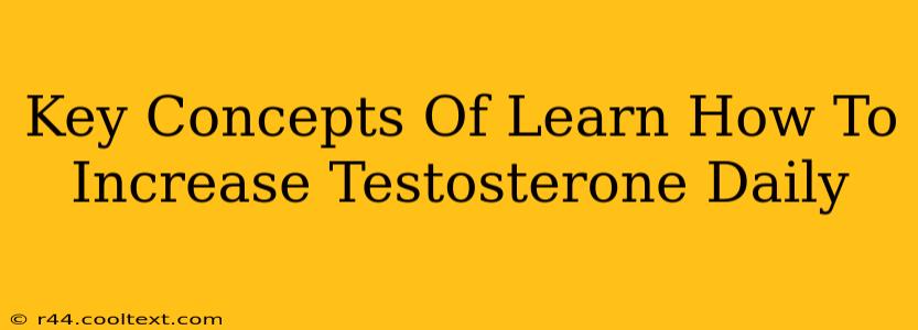 Key Concepts Of Learn How To Increase Testosterone Daily