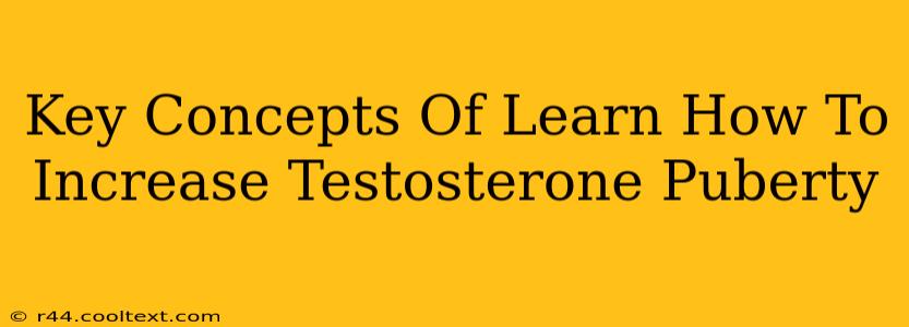 Key Concepts Of Learn How To Increase Testosterone Puberty