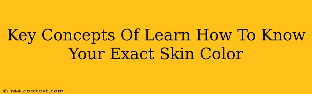 Key Concepts Of Learn How To Know Your Exact Skin Color