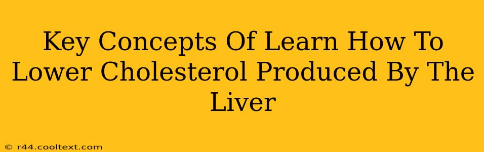 Key Concepts Of Learn How To Lower Cholesterol Produced By The Liver