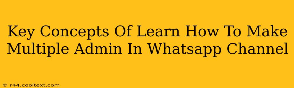 Key Concepts Of Learn How To Make Multiple Admin In Whatsapp Channel