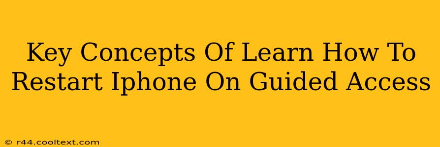 Key Concepts Of Learn How To Restart Iphone On Guided Access