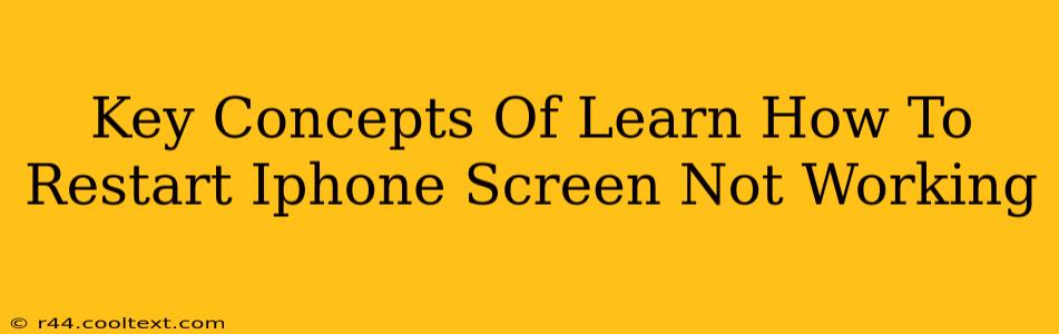 Key Concepts Of Learn How To Restart Iphone Screen Not Working