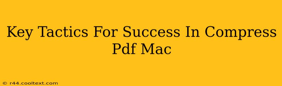 Key Tactics For Success In Compress Pdf Mac