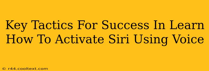 Key Tactics For Success In Learn How To Activate Siri Using Voice