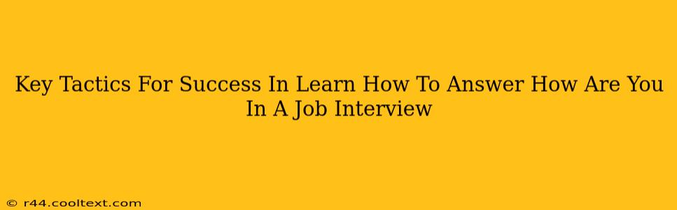 Key Tactics For Success In Learn How To Answer How Are You In A Job Interview