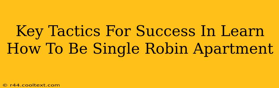 Key Tactics For Success In Learn How To Be Single Robin Apartment