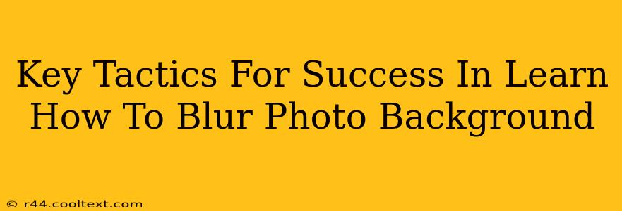 Key Tactics For Success In Learn How To Blur Photo Background