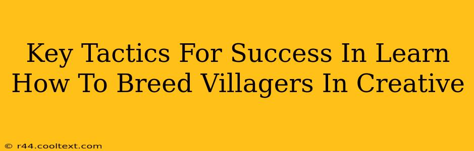 Key Tactics For Success In Learn How To Breed Villagers In Creative