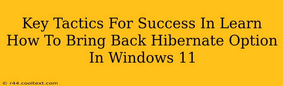 Key Tactics For Success In Learn How To Bring Back Hibernate Option In Windows 11