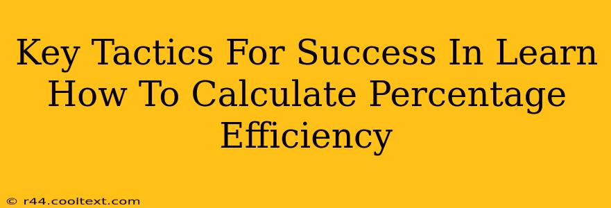 Key Tactics For Success In Learn How To Calculate Percentage Efficiency