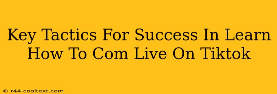 Key Tactics For Success In Learn How To Com Live On Tiktok