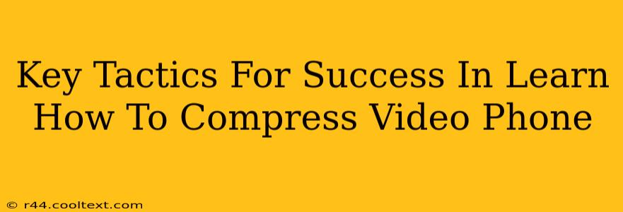 Key Tactics For Success In Learn How To Compress Video Phone