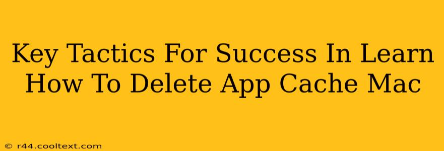 Key Tactics For Success In Learn How To Delete App Cache Mac