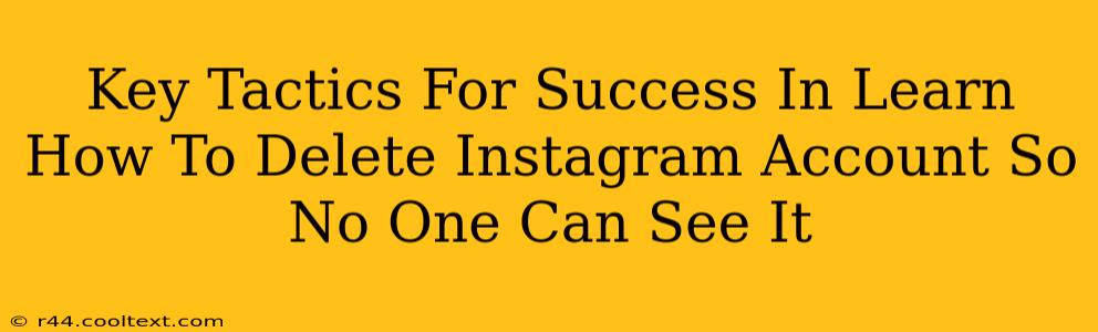 Key Tactics For Success In Learn How To Delete Instagram Account So No One Can See It