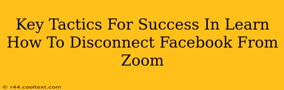 Key Tactics For Success In Learn How To Disconnect Facebook From Zoom