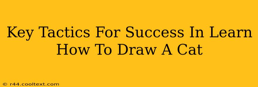 Key Tactics For Success In Learn How To Draw A Cat