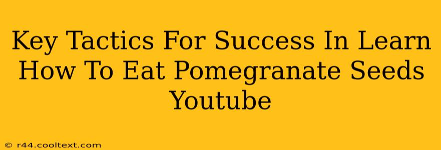 Key Tactics For Success In Learn How To Eat Pomegranate Seeds Youtube