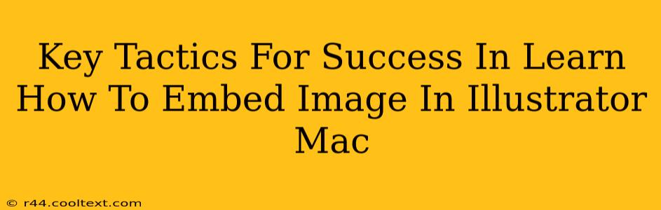 Key Tactics For Success In Learn How To Embed Image In Illustrator Mac