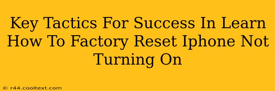 Key Tactics For Success In Learn How To Factory Reset Iphone Not Turning On