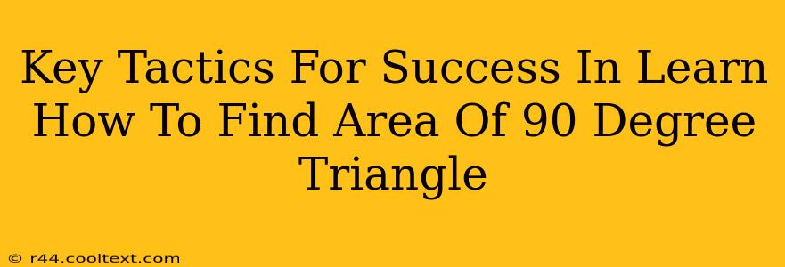 Key Tactics For Success In Learn How To Find Area Of 90 Degree Triangle