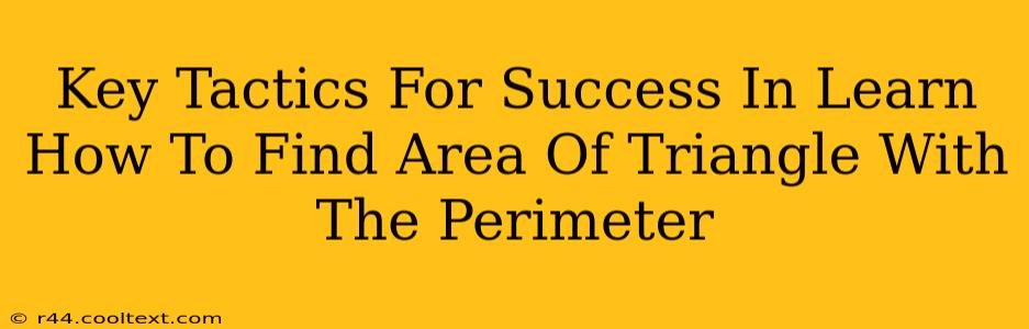 Key Tactics For Success In Learn How To Find Area Of Triangle With The Perimeter