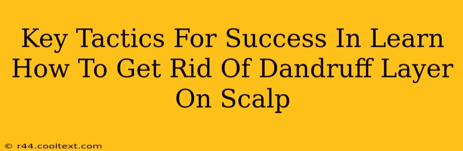 Key Tactics For Success In Learn How To Get Rid Of Dandruff Layer On Scalp