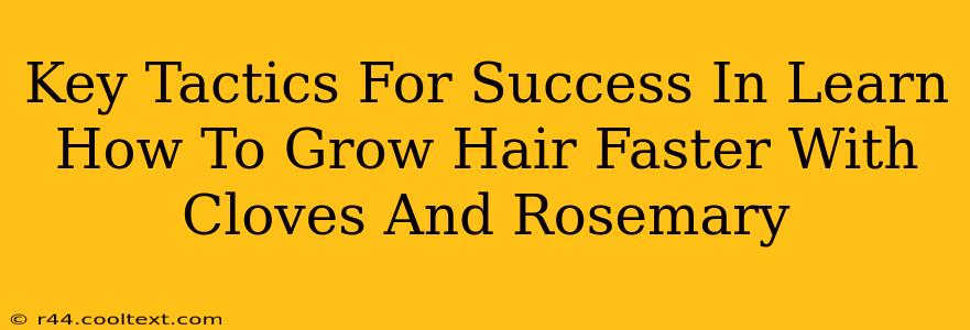 Key Tactics For Success In Learn How To Grow Hair Faster With Cloves And Rosemary