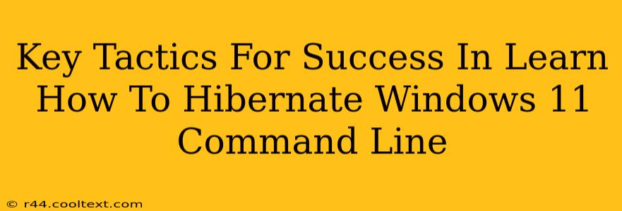 Key Tactics For Success In Learn How To Hibernate Windows 11 Command Line