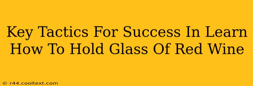 Key Tactics For Success In Learn How To Hold Glass Of Red Wine