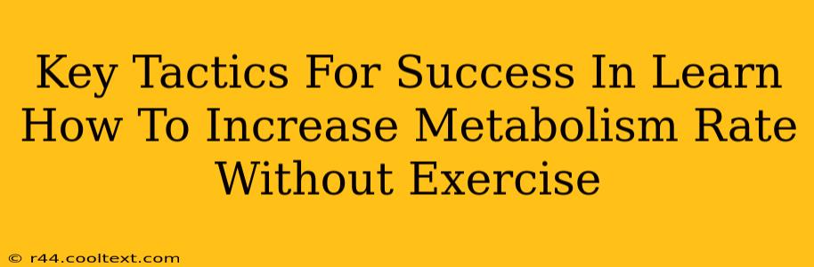 Key Tactics For Success In Learn How To Increase Metabolism Rate Without Exercise