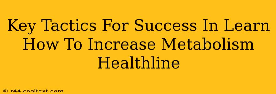 Key Tactics For Success In Learn How To Increase Metabolism Healthline