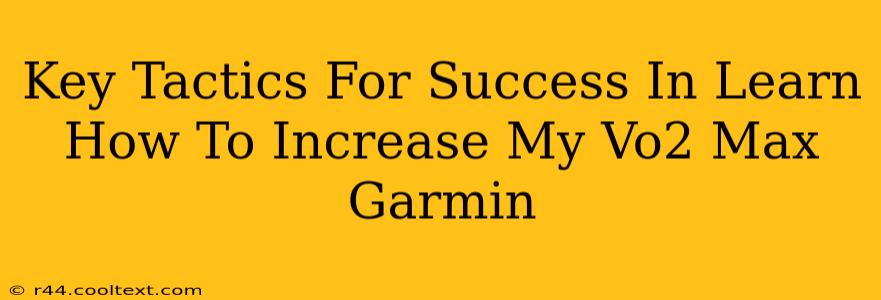 Key Tactics For Success In Learn How To Increase My Vo2 Max Garmin