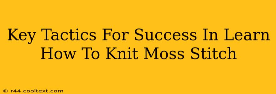 Key Tactics For Success In Learn How To Knit Moss Stitch