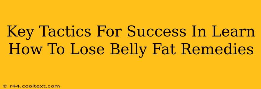 Key Tactics For Success In Learn How To Lose Belly Fat Remedies