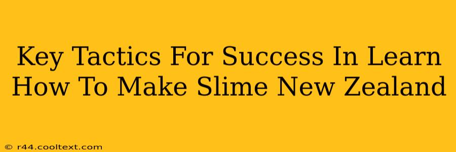 Key Tactics For Success In Learn How To Make Slime New Zealand