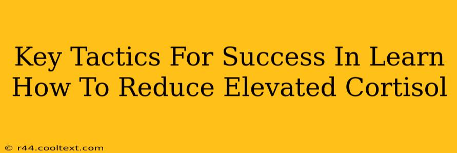 Key Tactics For Success In Learn How To Reduce Elevated Cortisol