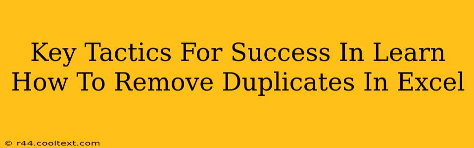 Key Tactics For Success In Learn How To Remove Duplicates In Excel