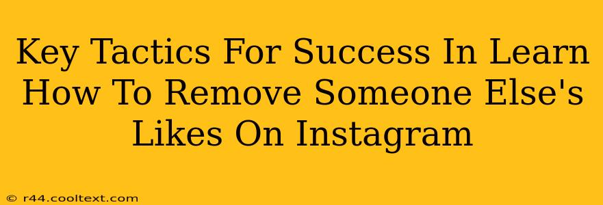 Key Tactics For Success In Learn How To Remove Someone Else's Likes On Instagram