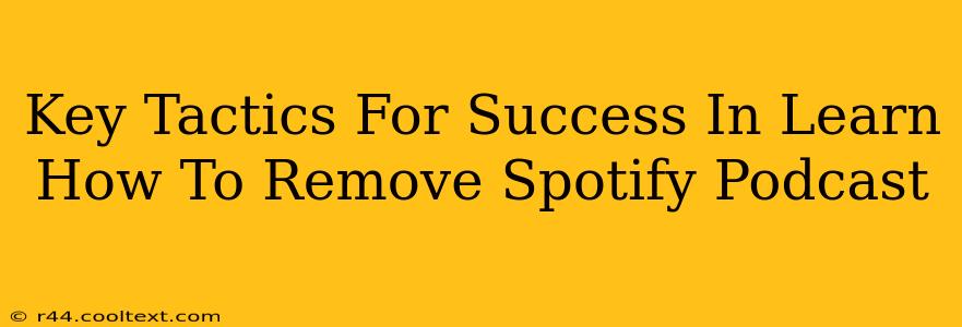 Key Tactics For Success In Learn How To Remove Spotify Podcast