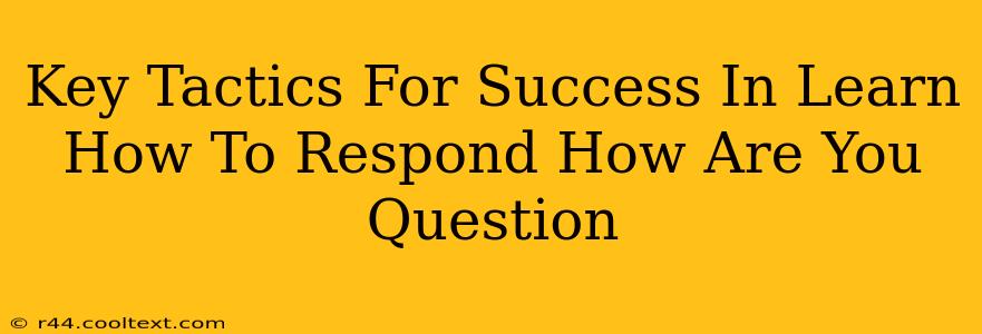 Key Tactics For Success In Learn How To Respond How Are You Question