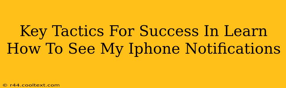 Key Tactics For Success In Learn How To See My Iphone Notifications