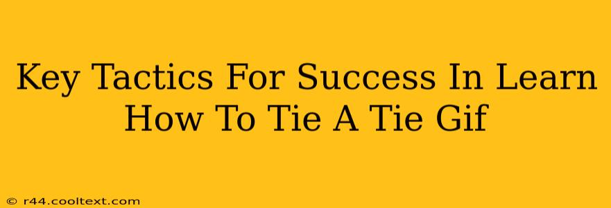 Key Tactics For Success In Learn How To Tie A Tie Gif