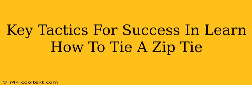 Key Tactics For Success In Learn How To Tie A Zip Tie